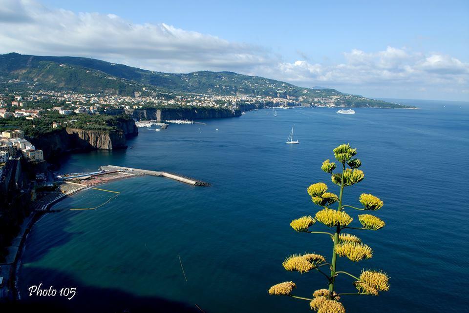 Отель Sorrento Coast Relais Мета Экстерьер фото